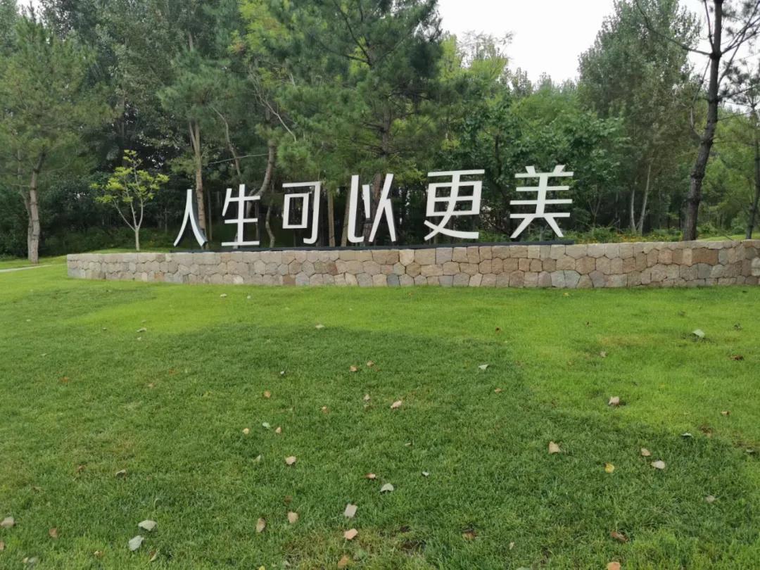 ibet·(集团)有限公司官网